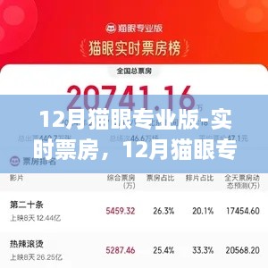 12月貓眼專業(yè)版實時票房解析，電影市場深度洞察