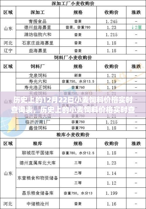 歷史上的小麥飼料價格實時查詢表，聚焦12月22日的觀察與變化