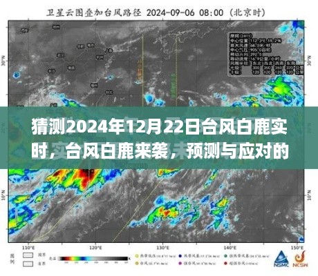 2024年12月 第2頁