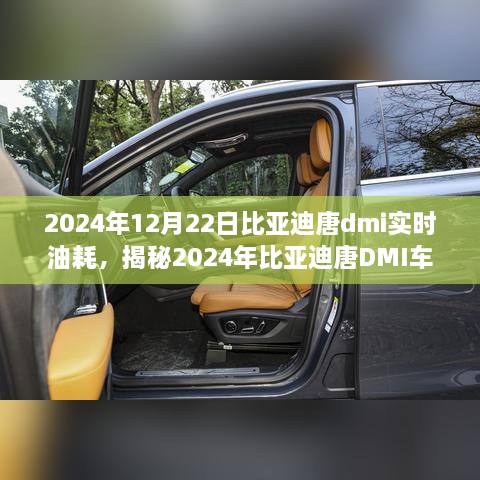 揭秘深度解析，2024年比亞迪唐DMI車型實(shí)時(shí)油耗解析