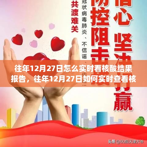 往年12月27日如何實時查看核酸結(jié)果報告，方法與觀點探討