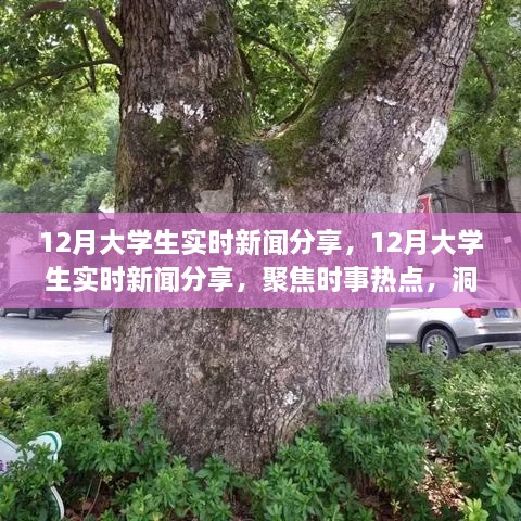 聚焦時事熱點，大學(xué)生實時新聞分享，洞察時代變遷的十二月觀察