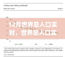 世界人口變化觀察，12月的實(shí)時(shí)數(shù)據(jù)與深度思考