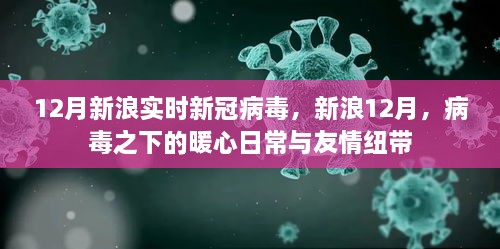 新浪12月，病毒下的暖心日常與友情紐帶，實(shí)時(shí)新冠病毒報(bào)道