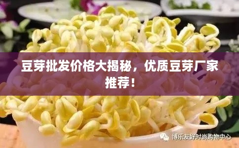 豆芽批發(fā)價格大揭秘，優(yōu)質(zhì)豆芽廠家推薦！