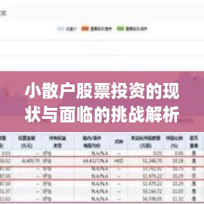 小散戶股票投資的現(xiàn)狀與面臨的挑戰(zhàn)解析