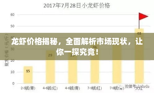 龍蝦價(jià)格揭秘，全面解析市場(chǎng)現(xiàn)狀，讓你一探究竟！