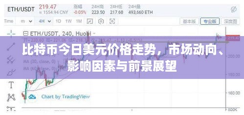 比特幣今日美元價(jià)格走勢(shì)，市場(chǎng)動(dòng)向、影響因素與前景展望