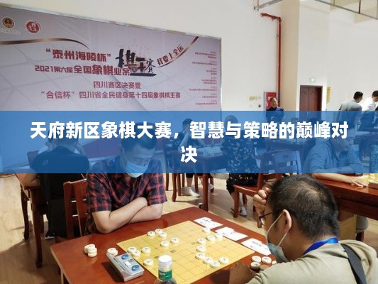 天府新區(qū)象棋大賽，智慧與策略的巔峰對(duì)決