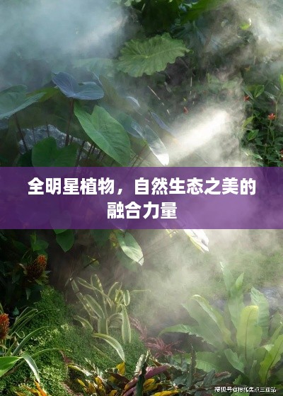 全明星植物，自然生態(tài)之美的融合力量