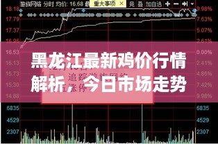 黑龍江最新雞價行情解析，今日市場走勢一網打盡