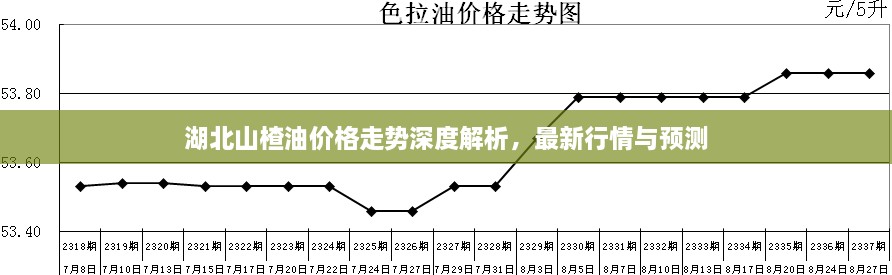 湖北山楂油價(jià)格走勢(shì)深度解析，最新行情與預(yù)測(cè)