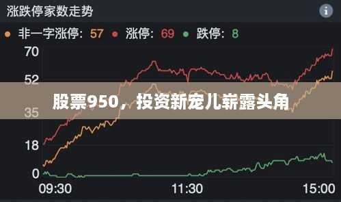 股票950，投資新寵兒嶄露頭角