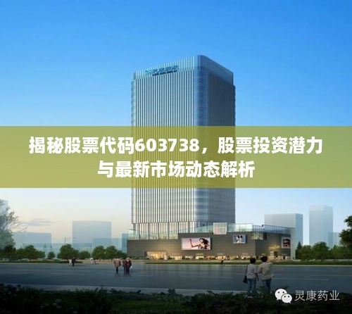 揭秘股票代碼603738，股票投資潛力與最新市場動態(tài)解析