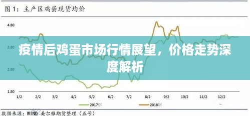 疫情后雞蛋市場(chǎng)行情展望，價(jià)格走勢(shì)深度解析