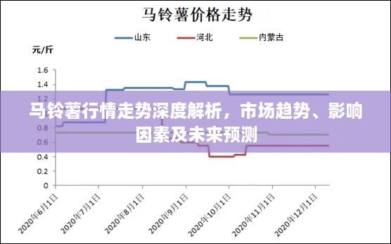 馬鈴薯行情走勢深度解析，市場趨勢、影響因素及未來預(yù)測