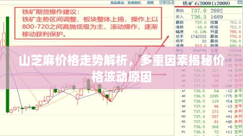 山芝麻價(jià)格走勢(shì)解析，多重因素揭秘價(jià)格波動(dòng)原因