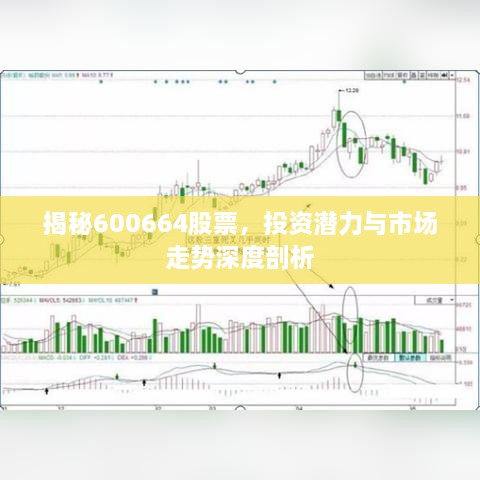 揭秘600664股票，投資潛力與市場走勢深度剖析