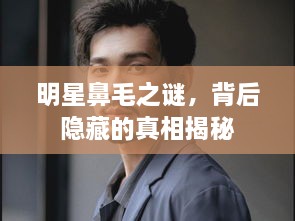 明星鼻毛之謎，背后隱藏的真相揭秘