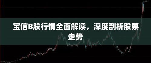 寶信B股行情全面解讀，深度剖析股票走勢