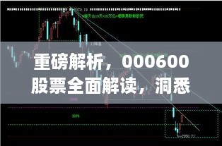 重磅解析，000600股票全面解讀，洞悉投資趨勢！