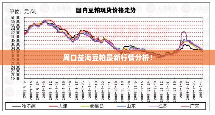 周口益海豆粕最新行情分析！