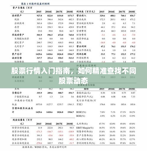 股票行情入門指南，如何精準(zhǔn)查找不同股票動(dòng)態(tài)