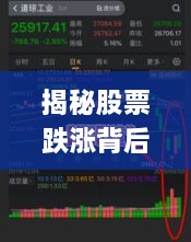 揭秘股票跌漲背后的風(fēng)險與策略，如何巧妙應(yīng)對股市波動？
