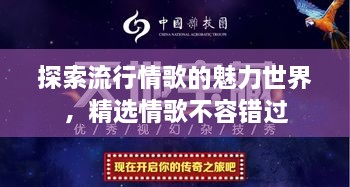 探索流行情歌的魅力世界，精選情歌不容錯過