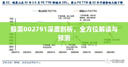 股票002791深度剖析，全方位解讀與預測