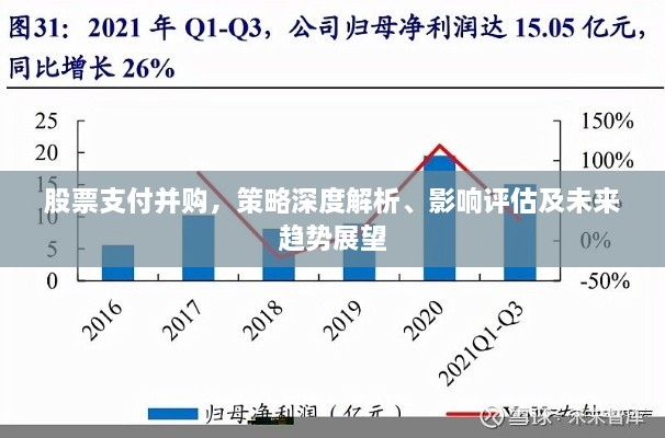 股票支付并購，策略深度解析、影響評估及未來趨勢展望