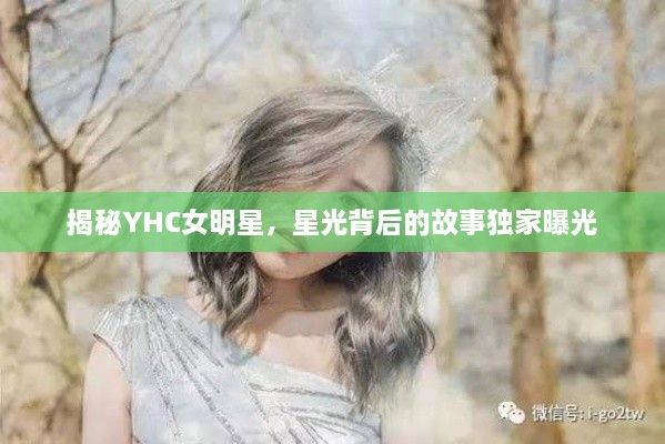 揭秘YHC女明星，星光背后的故事獨家曝光