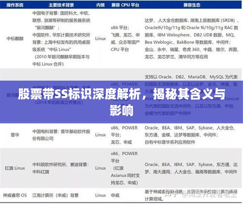 股票帶SS標識深度解析，揭秘其含義與影響