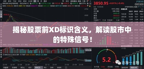 揭秘股票前XD標(biāo)識含義，解讀股市中的特殊信號！