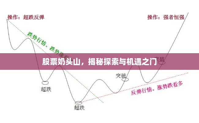 股票奶頭山，揭秘探索與機遇之門