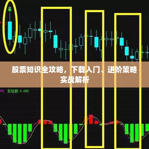 股票知識全攻略，下載入門、進階策略實戰(zhàn)解析