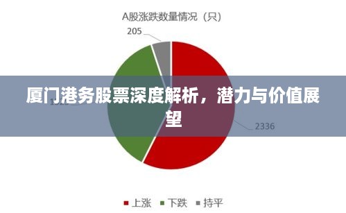 廈門港務(wù)股票深度解析，潛力與價值展望