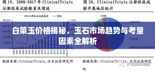 白菜玉價格揭秘，玉石市場趨勢與考量因素全解析