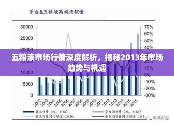 五糧液市場行情深度解析，揭秘2013年市場趨勢與機遇