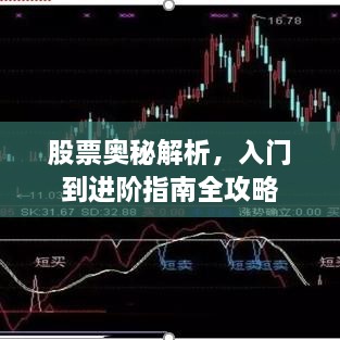 股票奧秘解析，入門到進(jìn)階指南全攻略