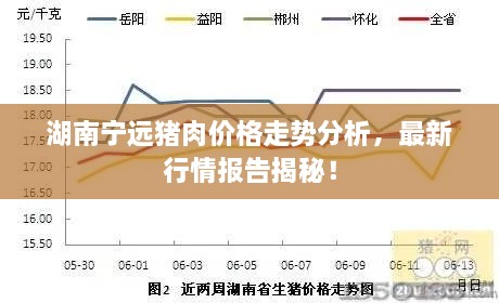 湖南寧遠豬肉價格走勢分析，最新行情報告揭秘！