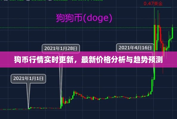 狗幣行情實時更新，最新價格分析與趨勢預測