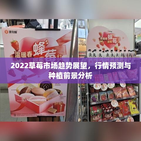 2022草莓市場趨勢展望，行情預(yù)測與種植前景分析