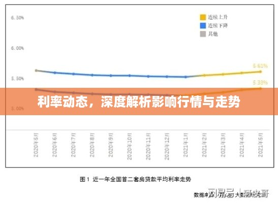 利率動態(tài)，深度解析影響行情與走勢