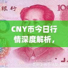 CNY幣今日行情深度解析，最新價格動態(tài)一網(wǎng)打盡！