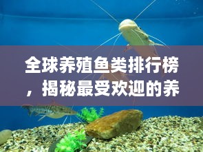 全球養(yǎng)殖魚類排行榜，揭秘最受歡迎的養(yǎng)殖魚類種類！