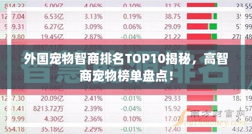 外國寵物智商排名TOP10揭秘，高智商寵物榜單盤點(diǎn)！