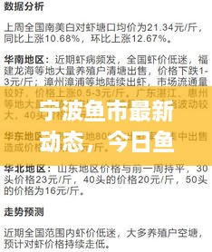 寧波魚市最新動態(tài)，今日魚價、市場走勢及影響因素全解析