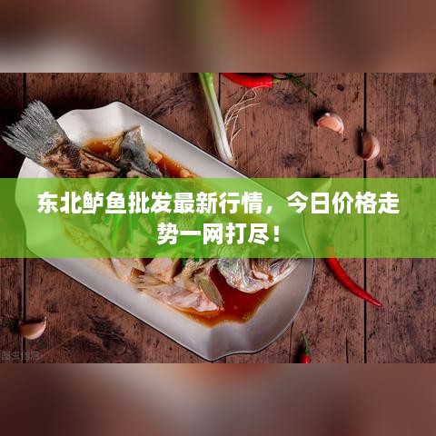 東北鱸魚批發(fā)最新行情，今日價格走勢一網(wǎng)打盡！