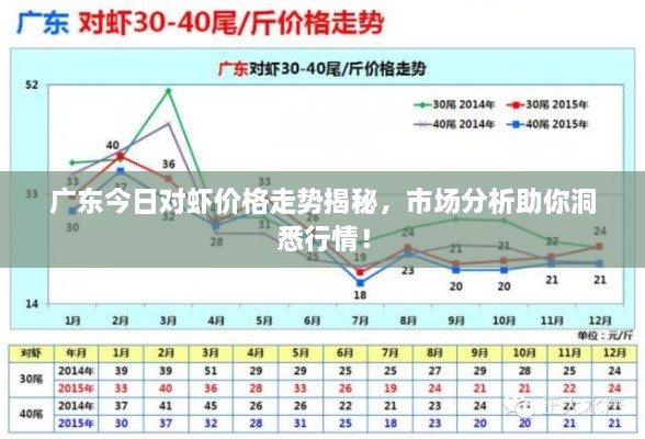 廣東今日對(duì)蝦價(jià)格走勢揭秘，市場分析助你洞悉行情！